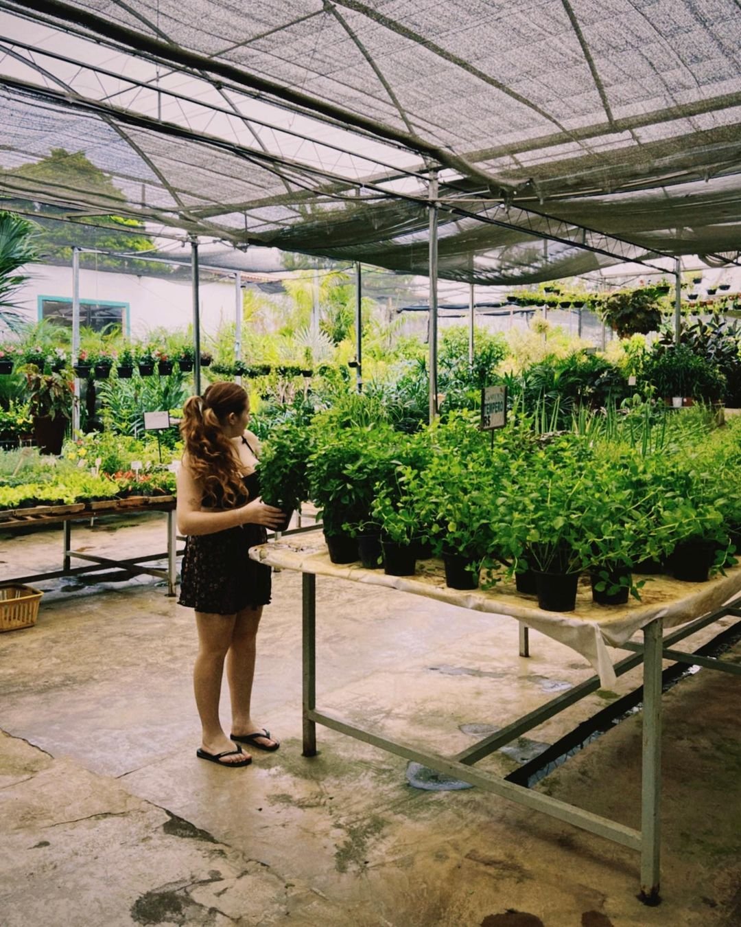 Giu Garcia suculenta demais #EailfP6t